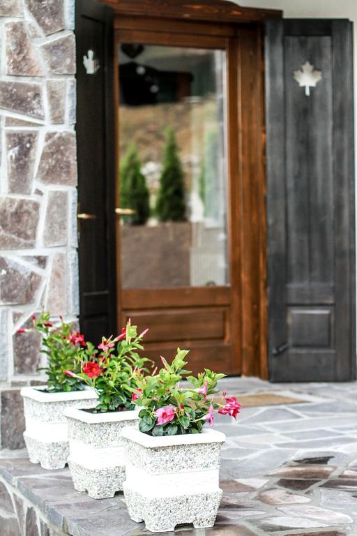 Vila Vista Sovata Extérieur photo