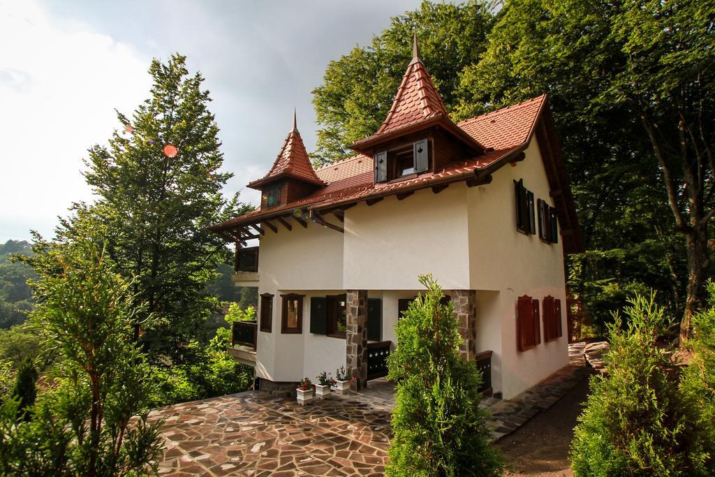 Vila Vista Sovata Extérieur photo
